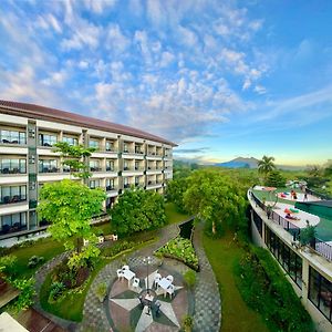The Green Peak, Artotel Curated